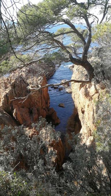 Appartamento Etoile D'azur T2, Dans Une Résidence Avec Piscine. Fréjus