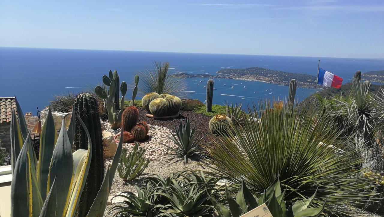 Etoile D'azur T2, Dans Une Résidence Avec Piscine. Fréjus